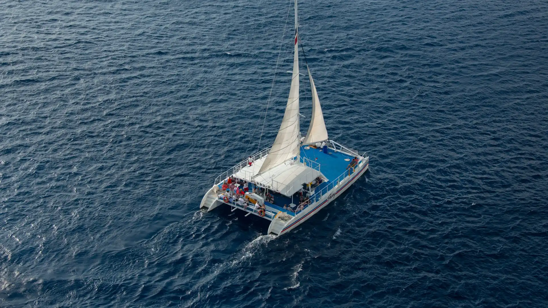 Aerial view of a sailing catamaran with passengers on deck on a day cruise from port