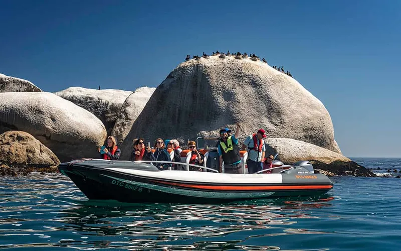 Marine Wildlife Tour from the V&A Waterfront — boat tours and day cruises from Cape Town, South Africa