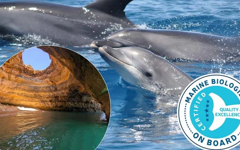 Combo Dolphin and Benagil Tour with Marine Biologists — boat tours and day cruises from Lagos, Portugal